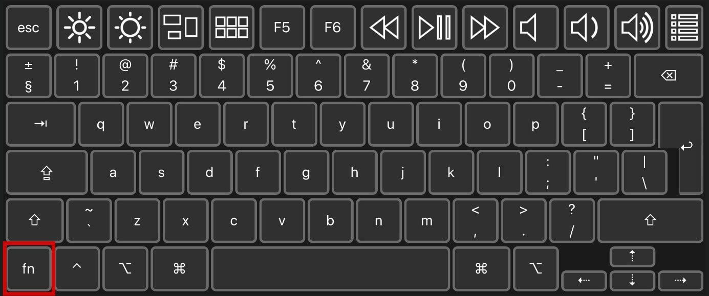 disable mac function keys xplane 11