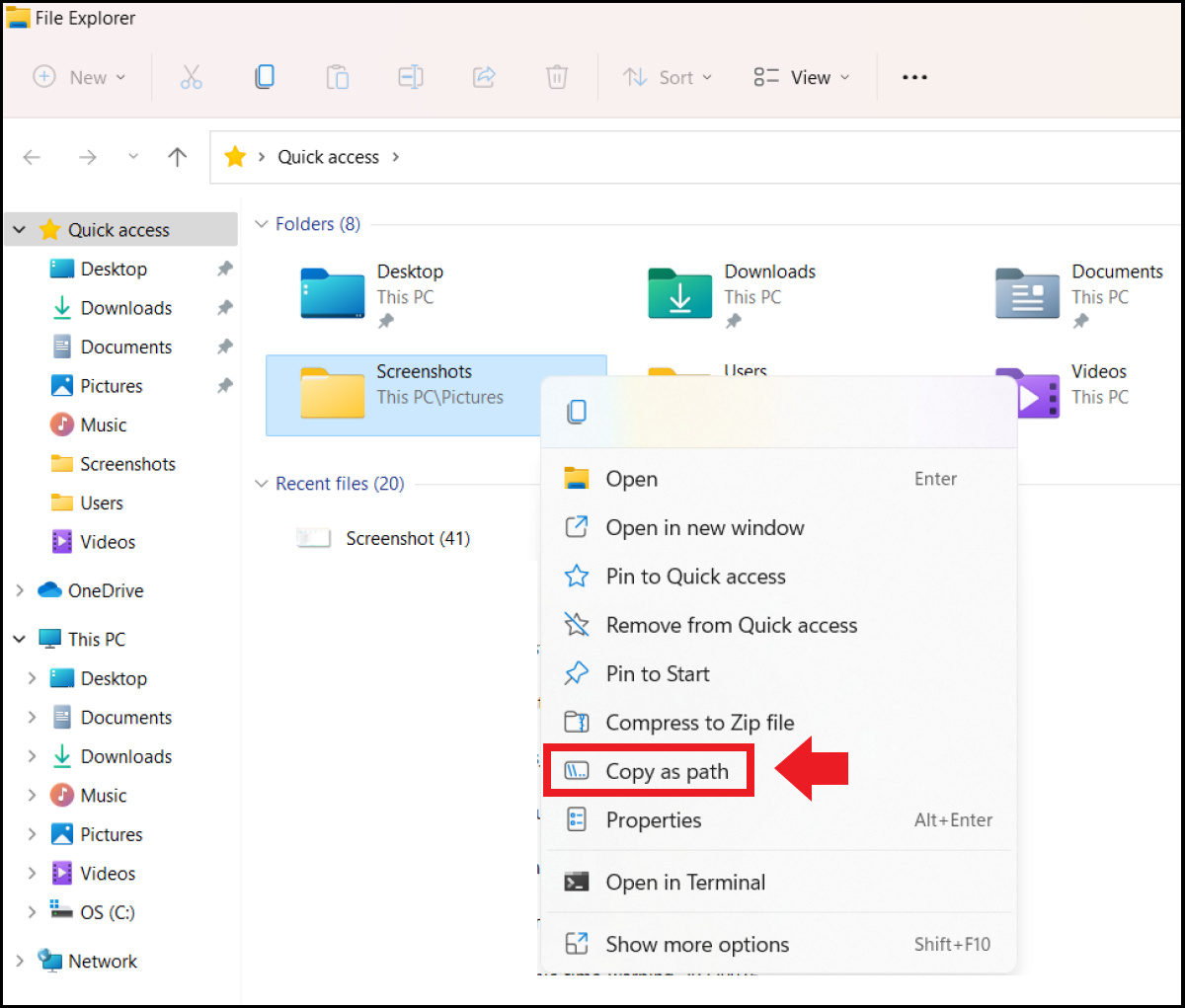 How To Use The Duplicate File Finder In Windows 11 IONOS