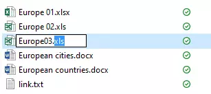 Excel files in a list view: The name field of one of the files has been opened for renaming