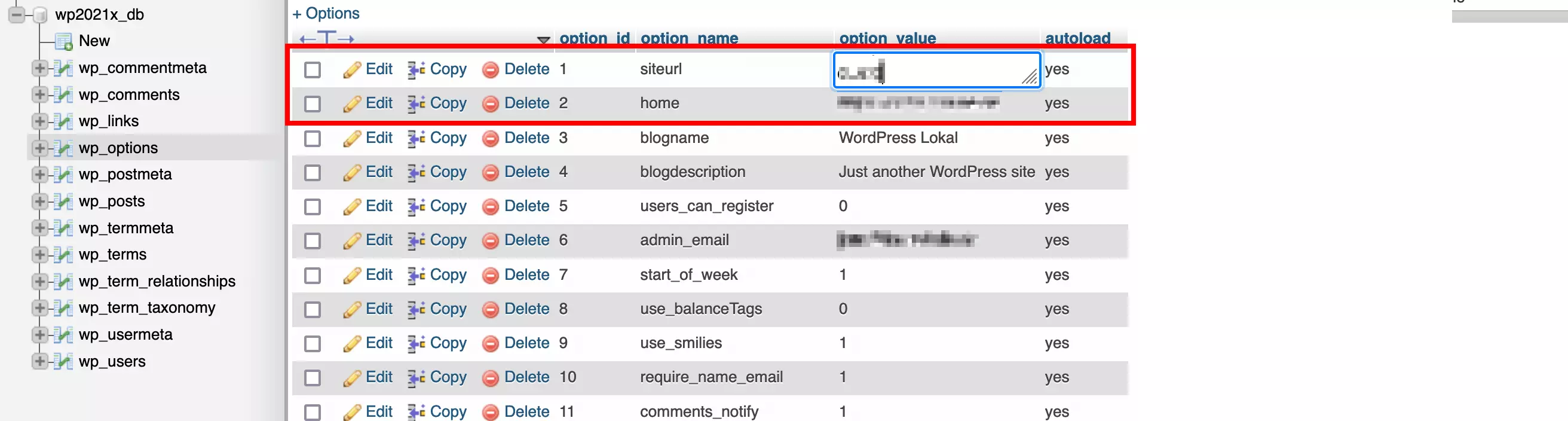 wp_options in the WordPress database