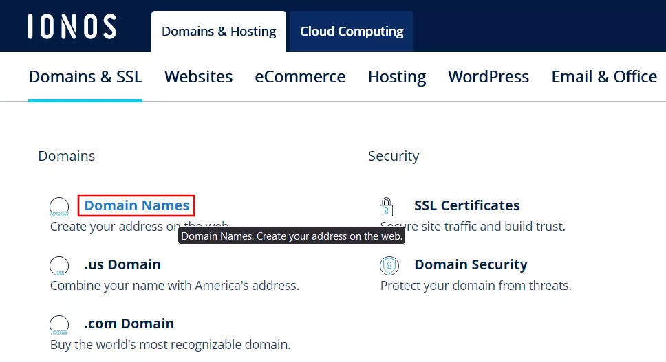 Buy your own domain for ProtonMail on the IONOS website