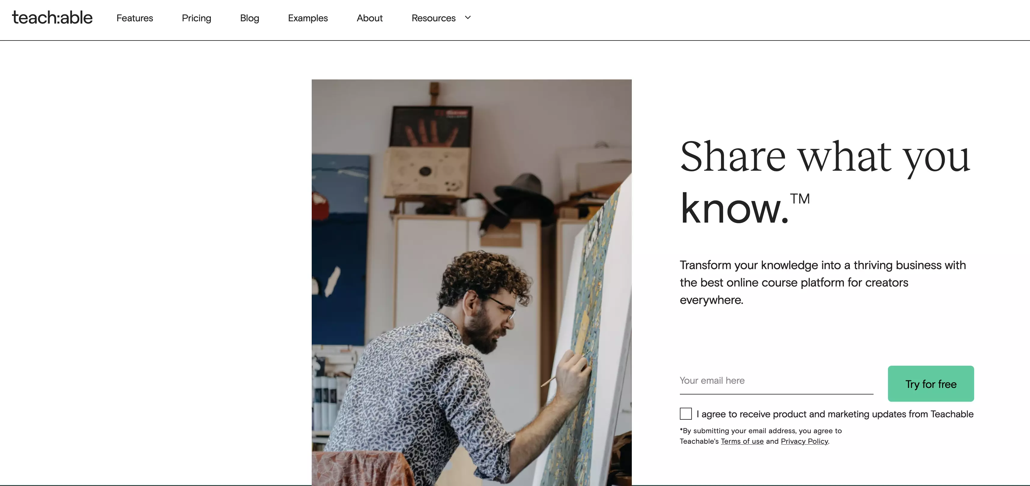 Screenshot of the teachable website