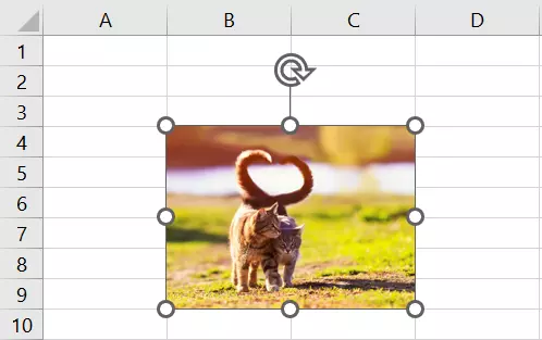 Adjust the image in Excel using the mouse