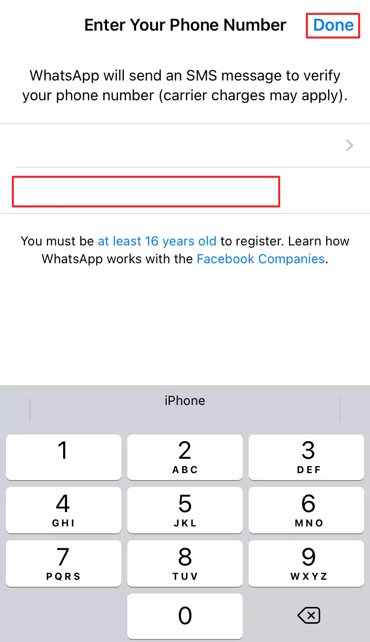 Input window for your phone number