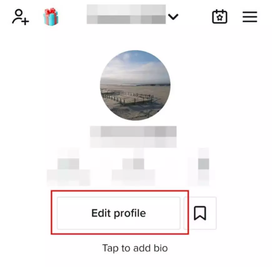 TikTok profile