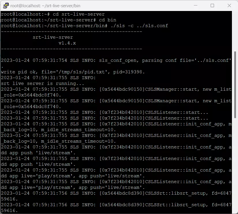 Console with output of a running SRT server