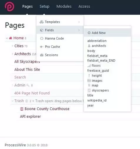 ProcessWire: menu for adding a new field