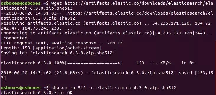 Screenshot of console installing Elasticsearch