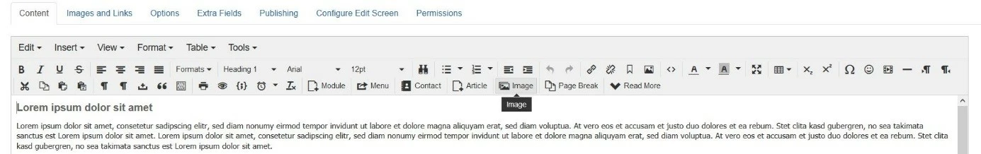 Joomla!: Menu bar of the editor, TinyMCE