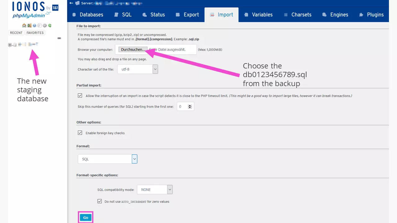 WordPress test environment: uploading the backup file