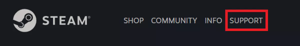 Go to the Steam website and click on “Support.”