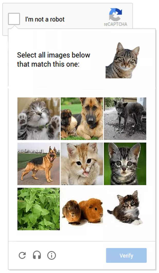 An image-based captcha from Google