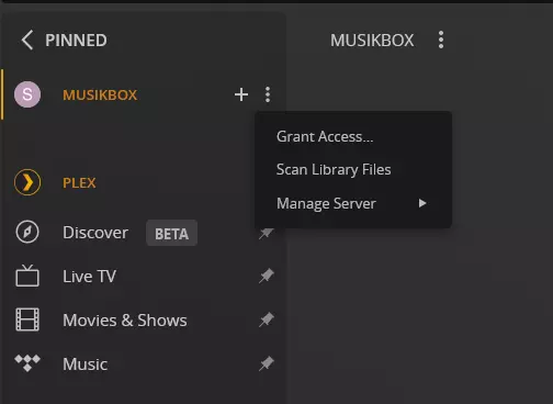 Path to manage the Plex server and change settings