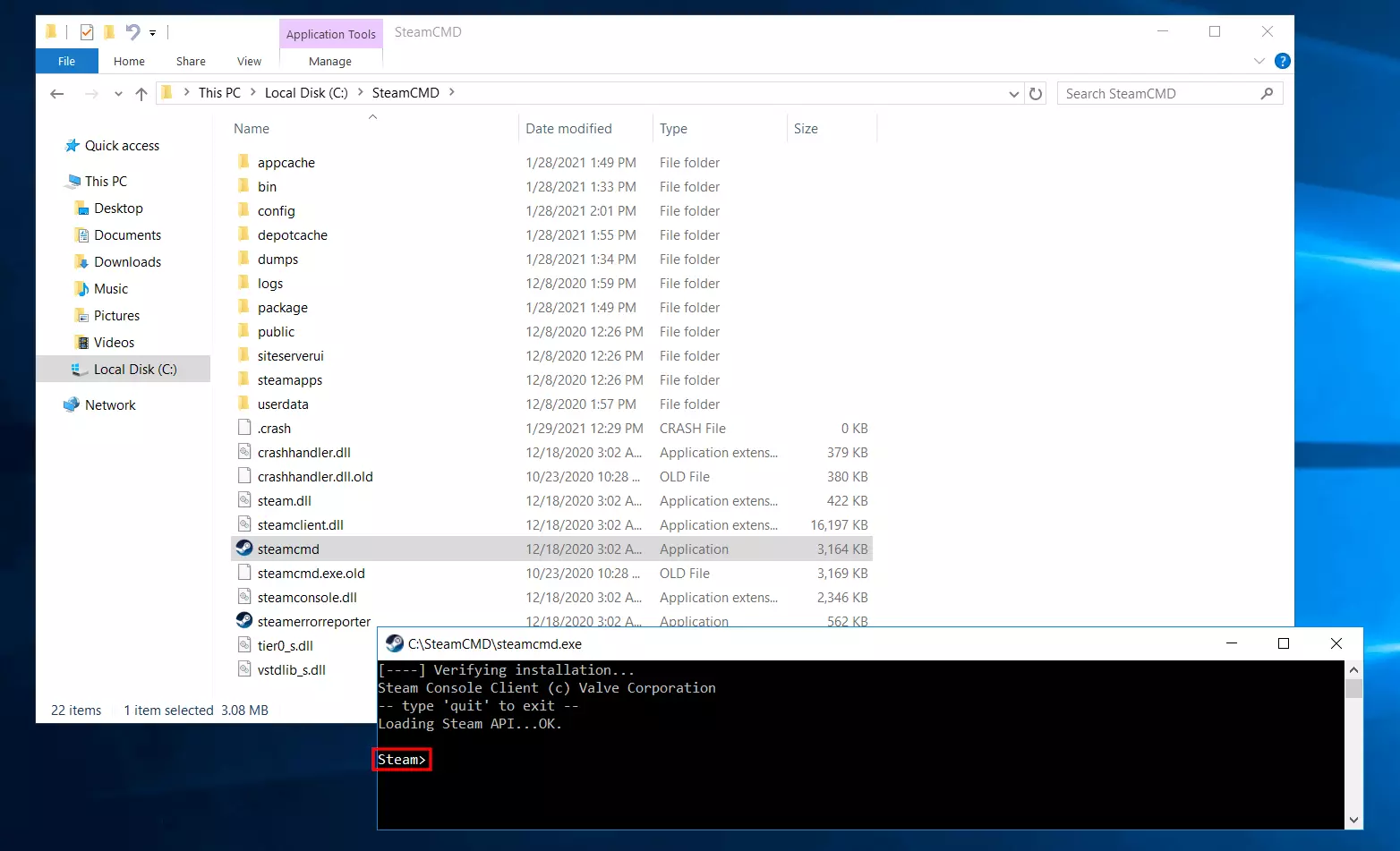 Steam input line after successful SteamCMD installation