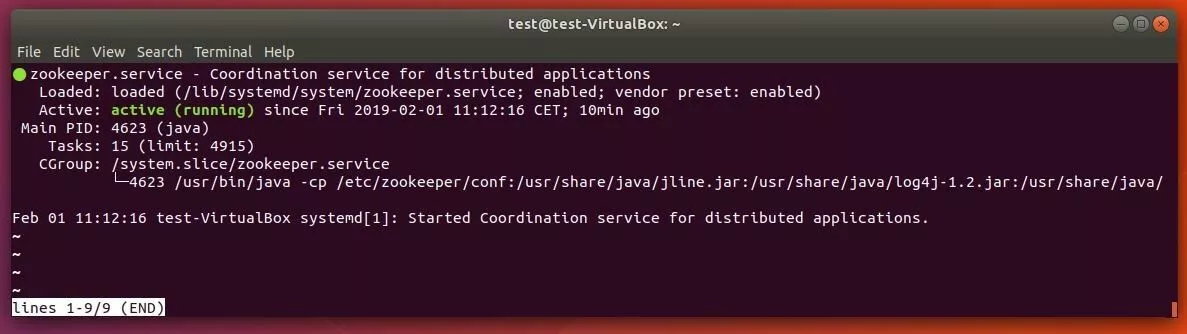 Ubuntu terminal: returned output from the active ZooKeeper service