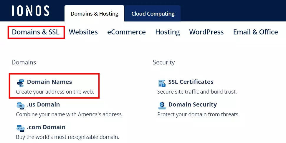 IONOS website: Domain names