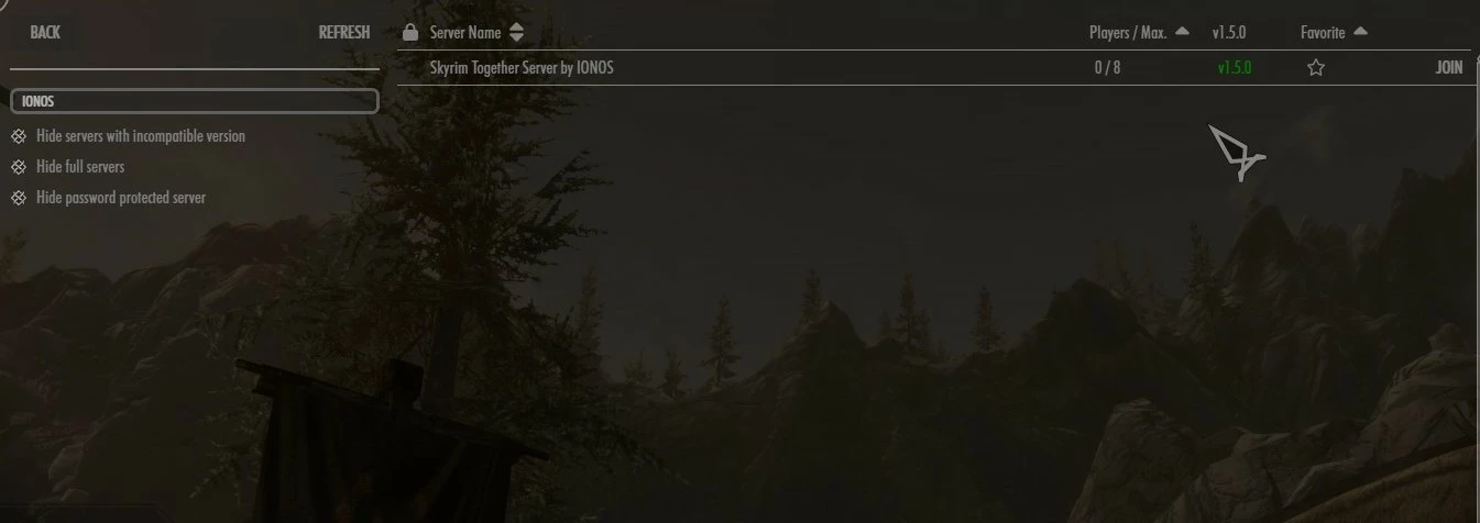 Your Skyrim Together server in the public server listing