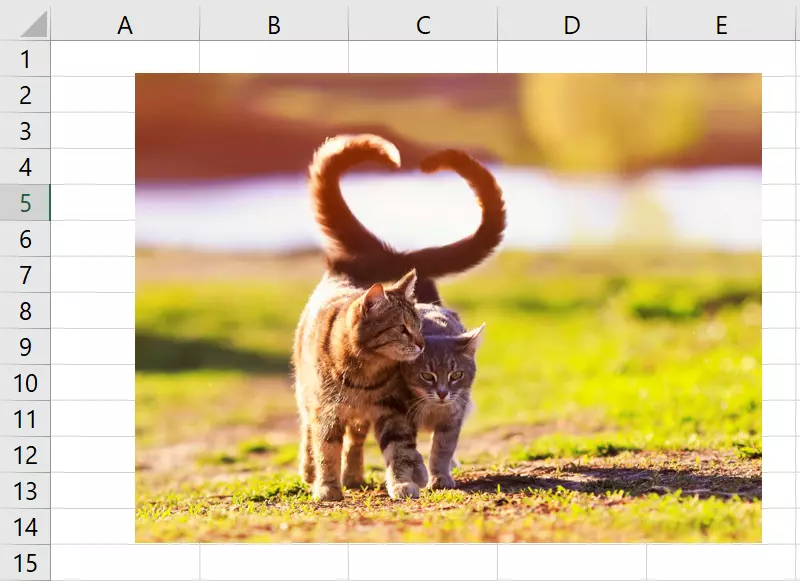 A large image inserted in Excel