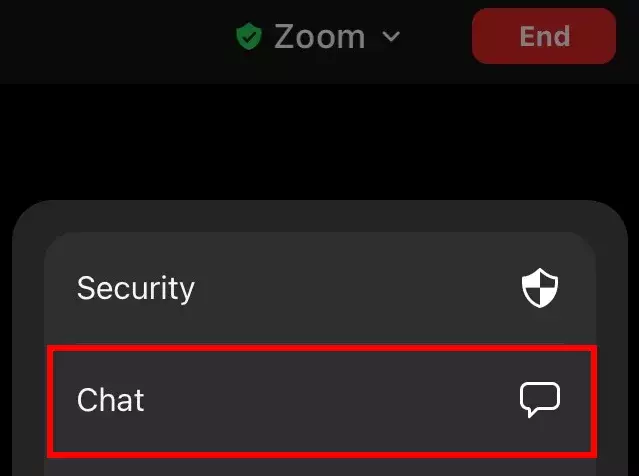 Chat feature in the Zoom mobile app