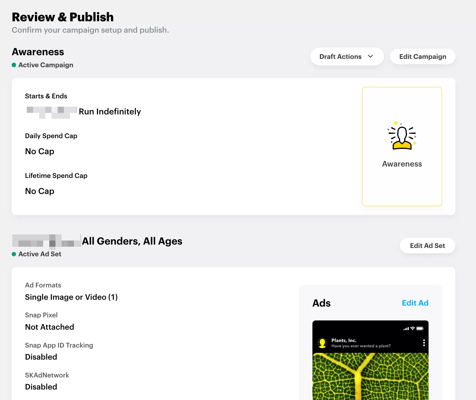 Screenshot of the “Review & Publish” page in the Ads Manager