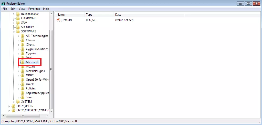 Windows Registry “Microsoft” folder