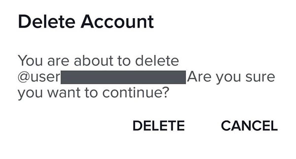 TikTok: Final delete account confirmation