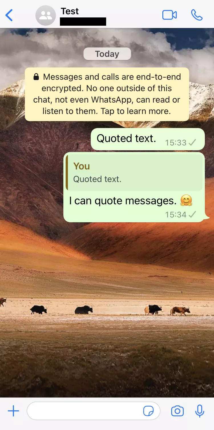 iPhone screenshot of a WhatsApp chat with quoted text