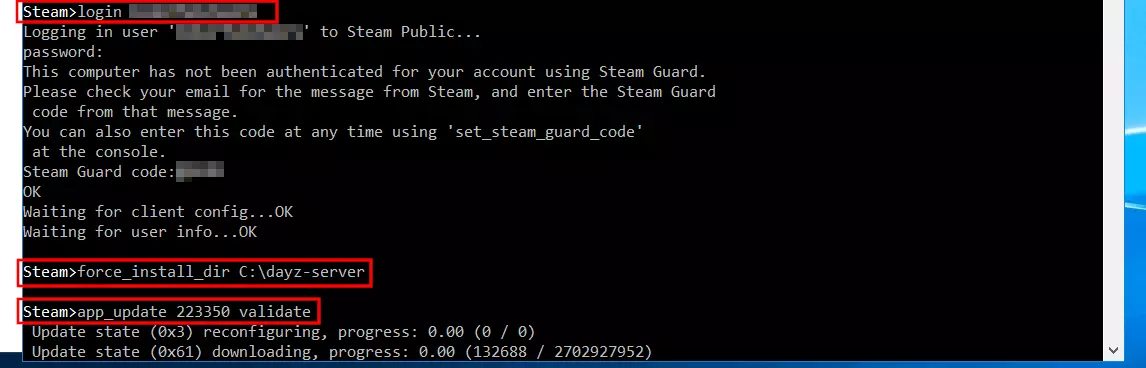 SteamCMD: Installing the DayZ server