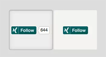 Follow on Xing-Button