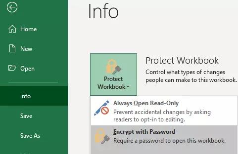 Overview of “File” > “Info” > “Protect Workbook” menu