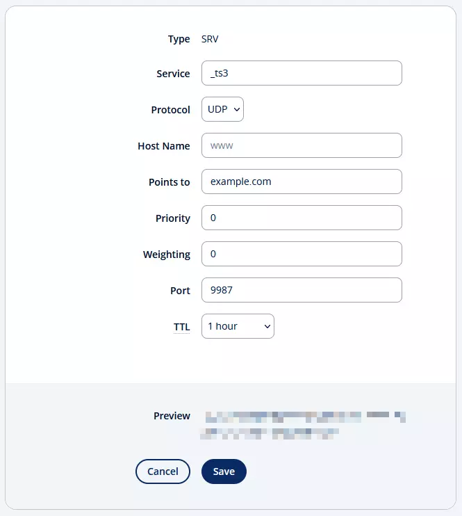 Input mask for the SRV Record on IONOS