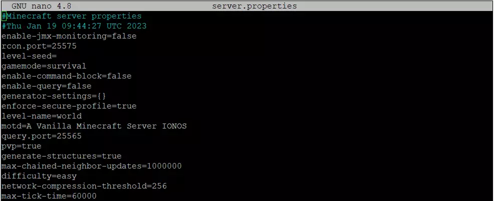 Minecraft server.properties file