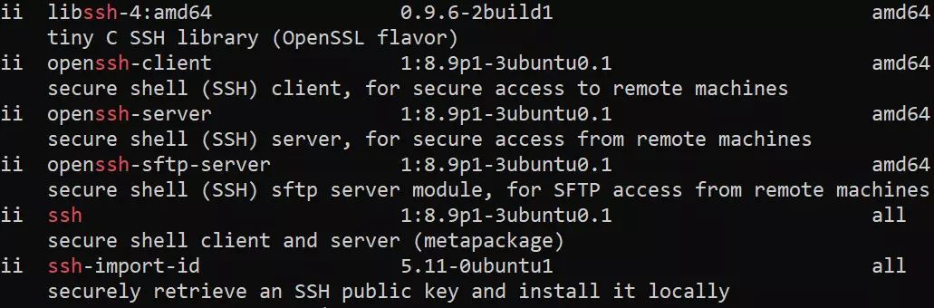 Terminal: paquetes OpenSSH instalados