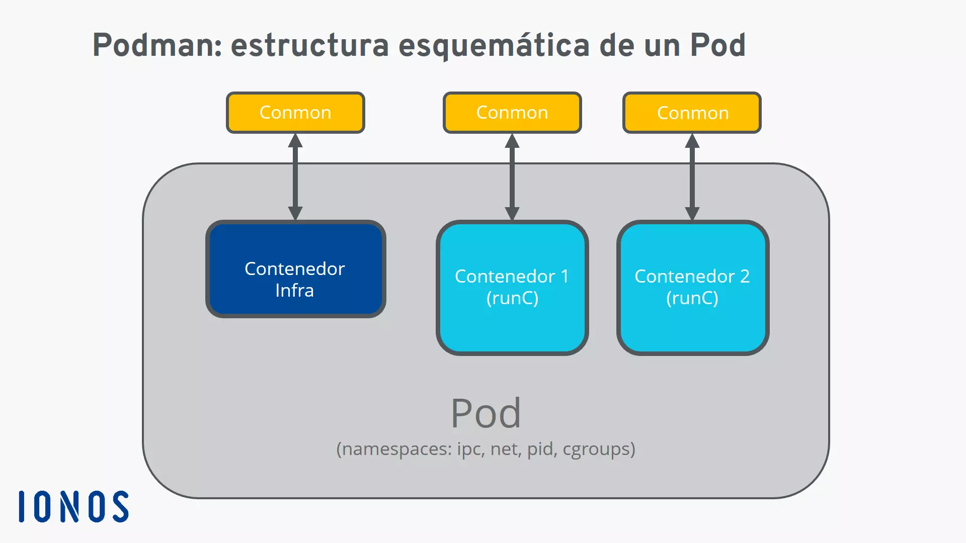 Gráfica: estructura esquemática de un pod