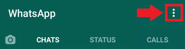 Menú de WhatsApp con el icono de tres puntos en la parte superior derecha para “Más opciones”