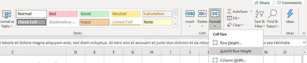 Menú de Excel “Formato” en el menú “Inicio”