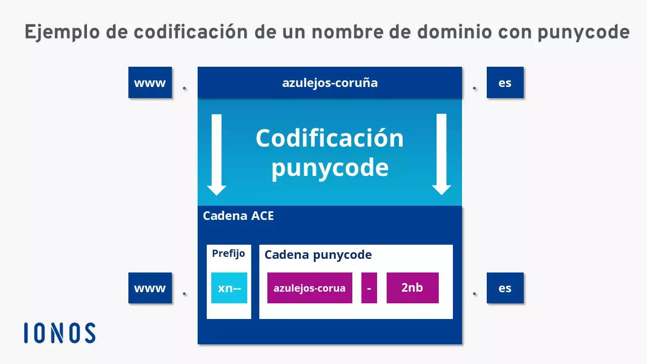 Vista de las secciones que componen la cadena ACE