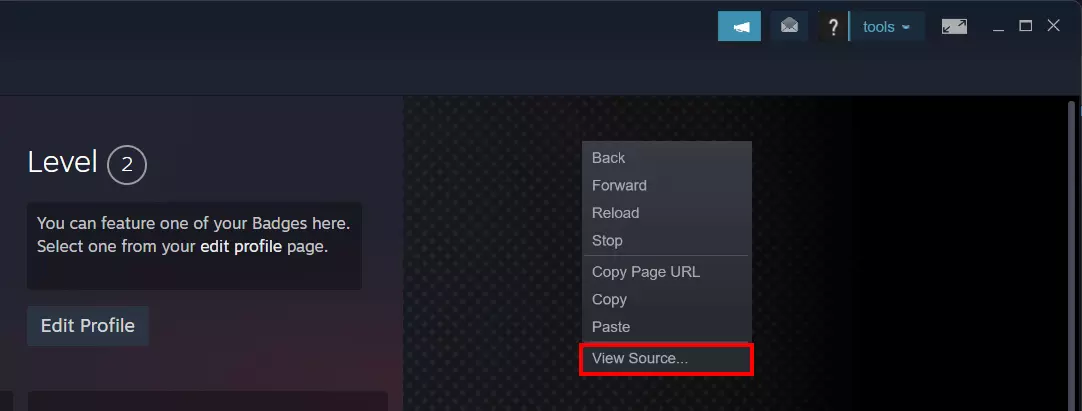 Aplicación de Steam: “Mostrar código fuente” en el menú del perfil