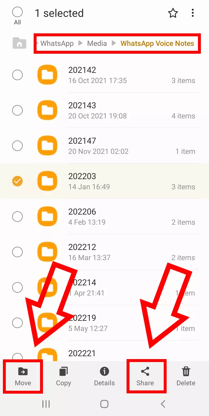 Captura de la carpeta “WhatsApp Voice Notes” con las opciones “Mover” o “Compartir” resaltadas