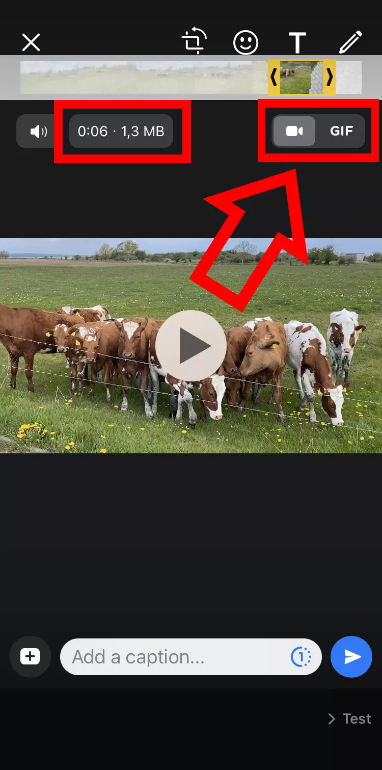 Captura de pantalla de iPhone en la edición de vídeo en WhatsApp con el botón GIF
