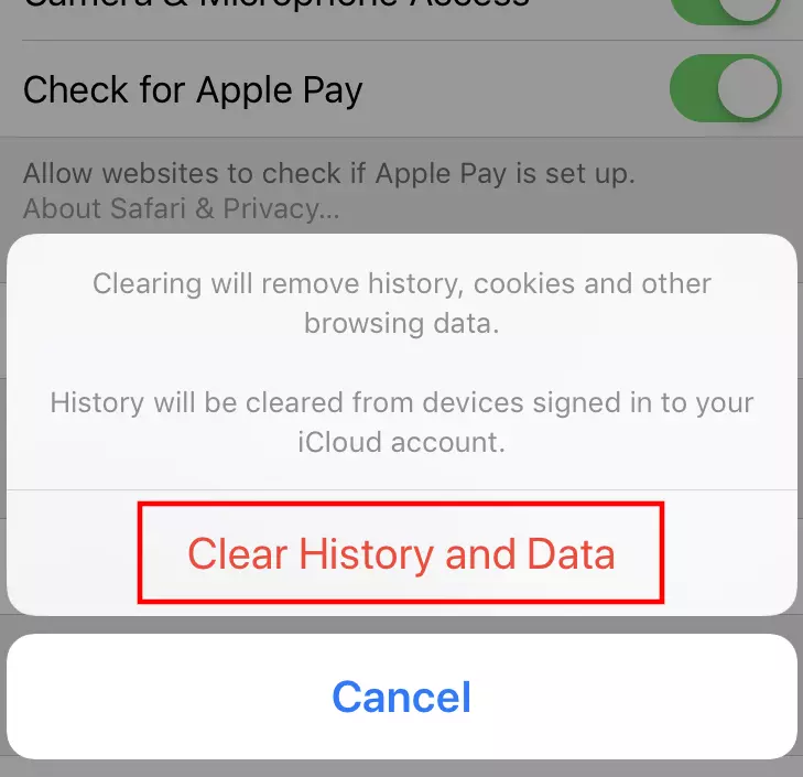 Safari (iOS): ventana de diálogo “Borrar historial y datos de sitios web”