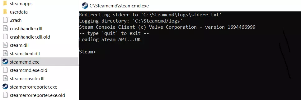 SteamCMD: directorio tras la instalación