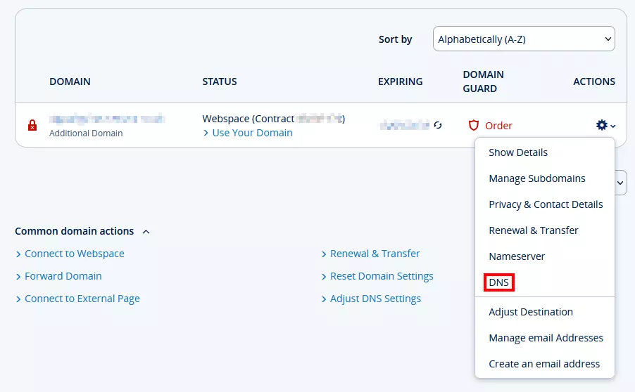 Ver tus dominios y configuración DNS