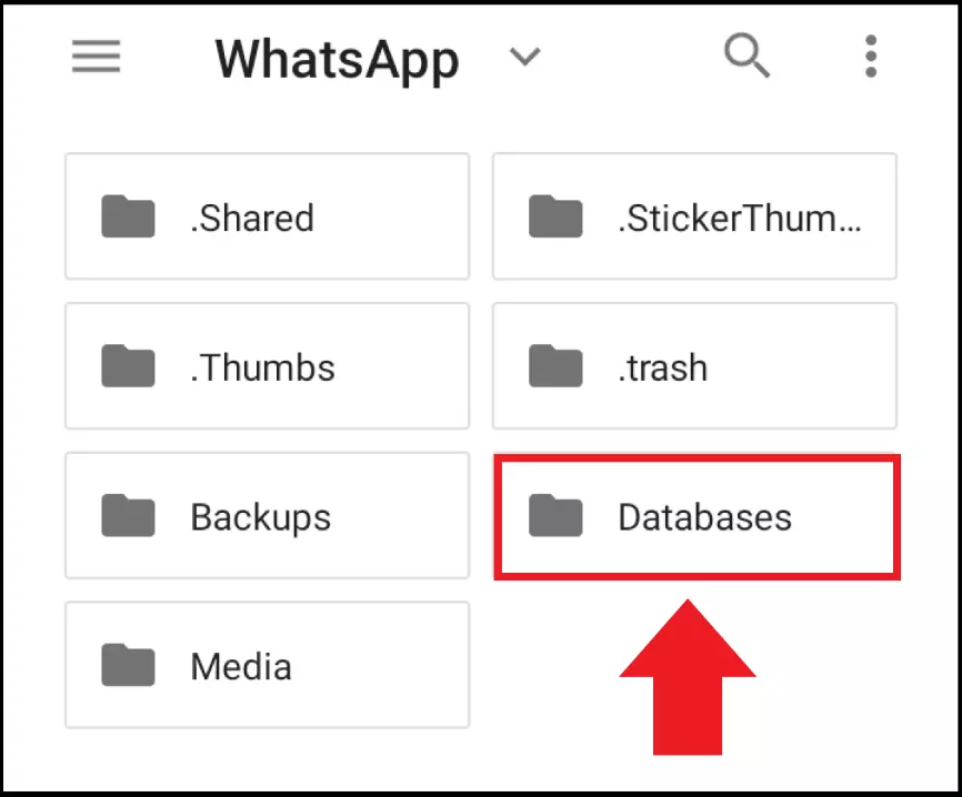 Copias de seguridad locales en WhatsApp\Basesdedatos