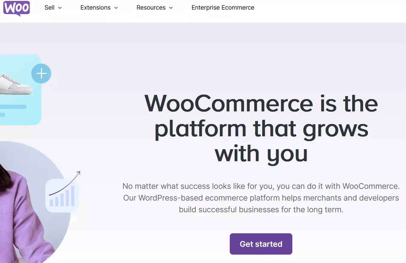 Site do sistema WooCommerce