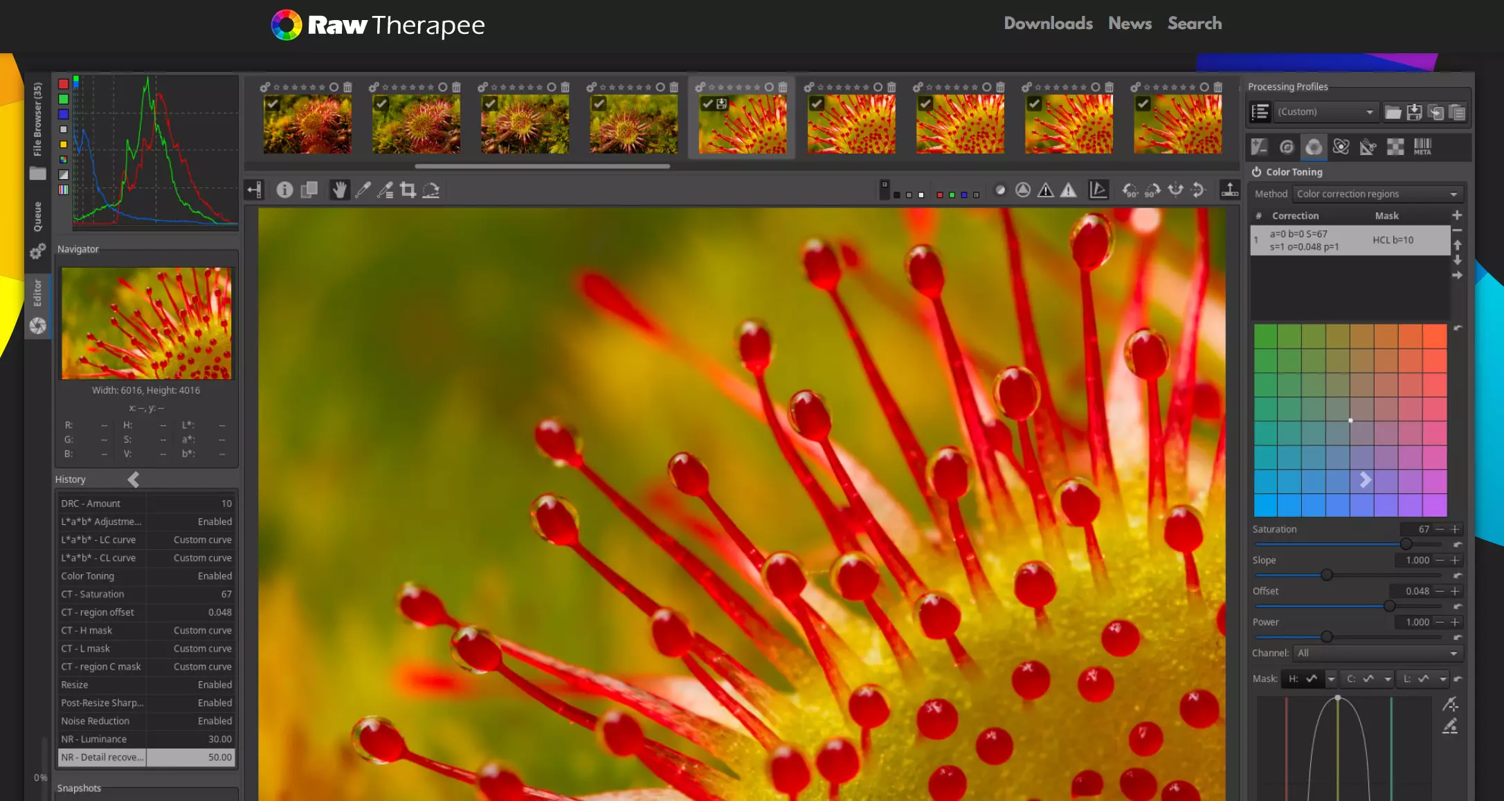 Raw Therapee: captura de tela do site