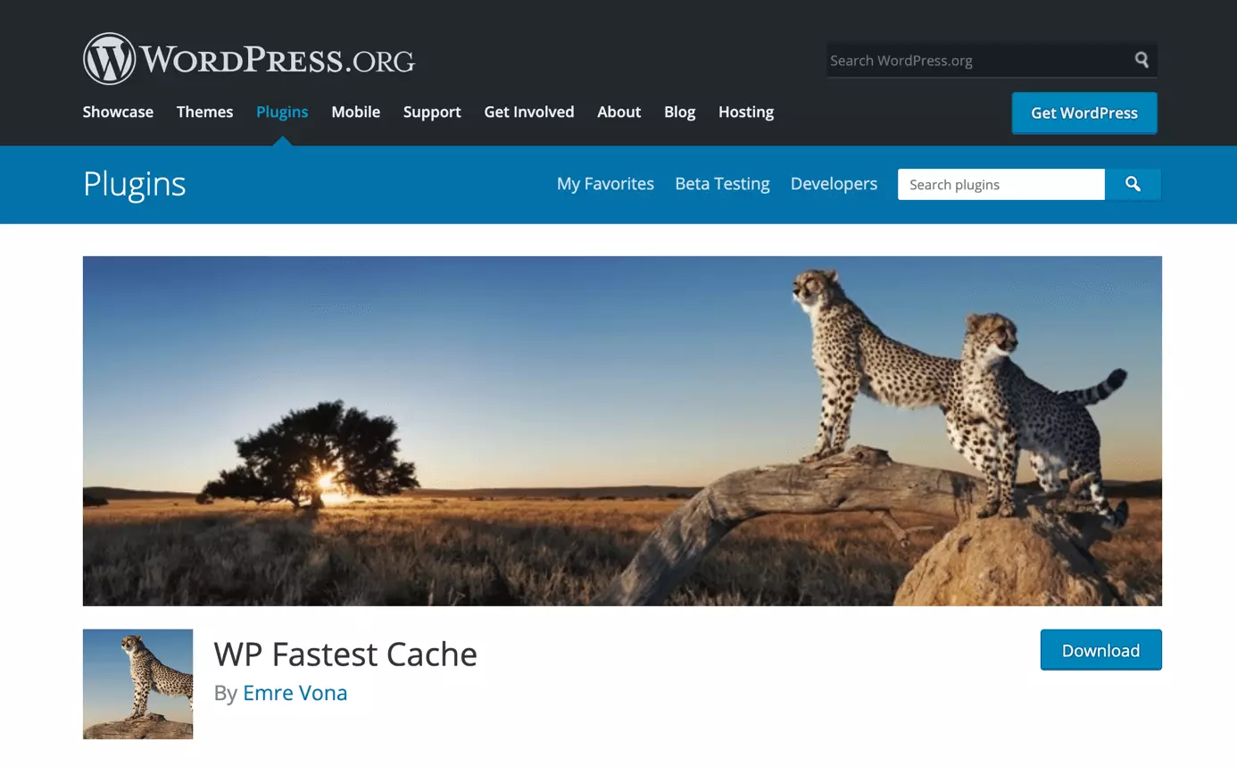 Baixe o plugin de cache para WordPress WP Fastest Cache, no WordPress.org