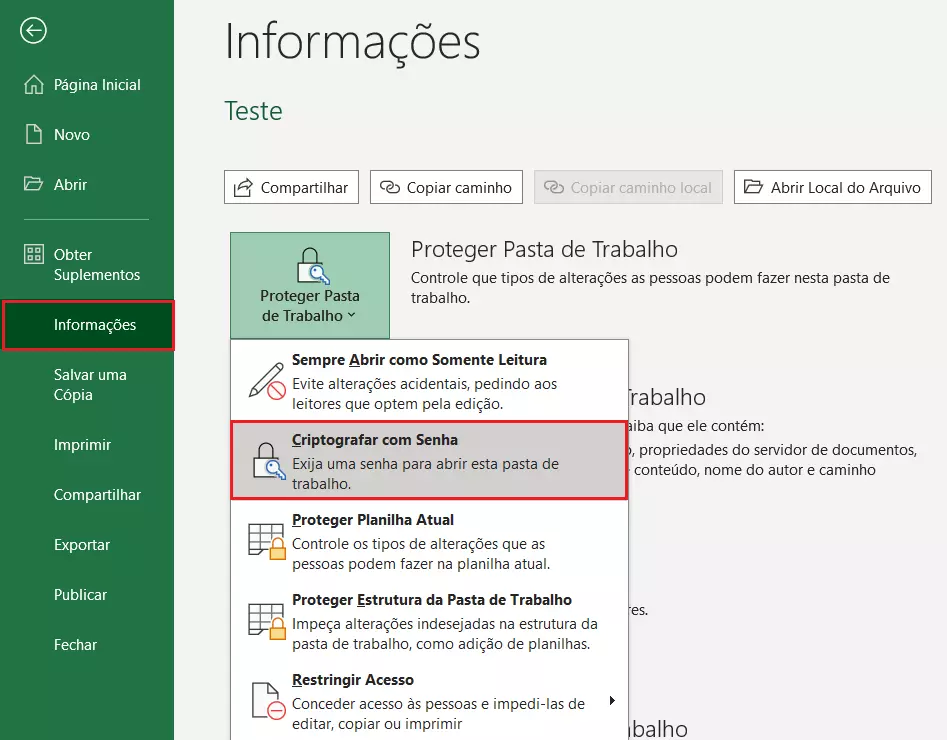 Arquivo > Informações > Proteger Pasta de Trabalho > Criptografar com Senha