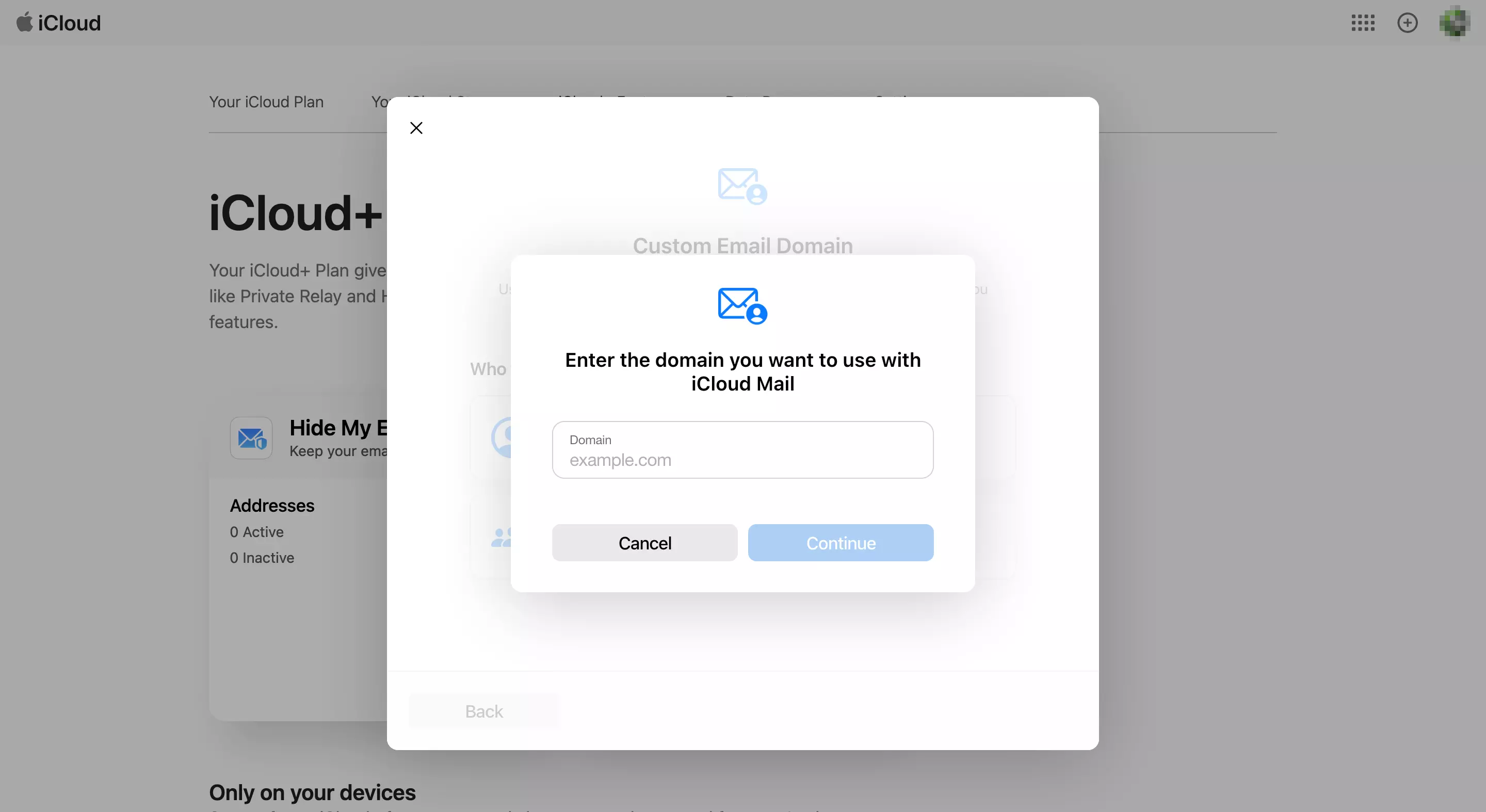 Insira seu domínio próprio na página de configuração do iCloud