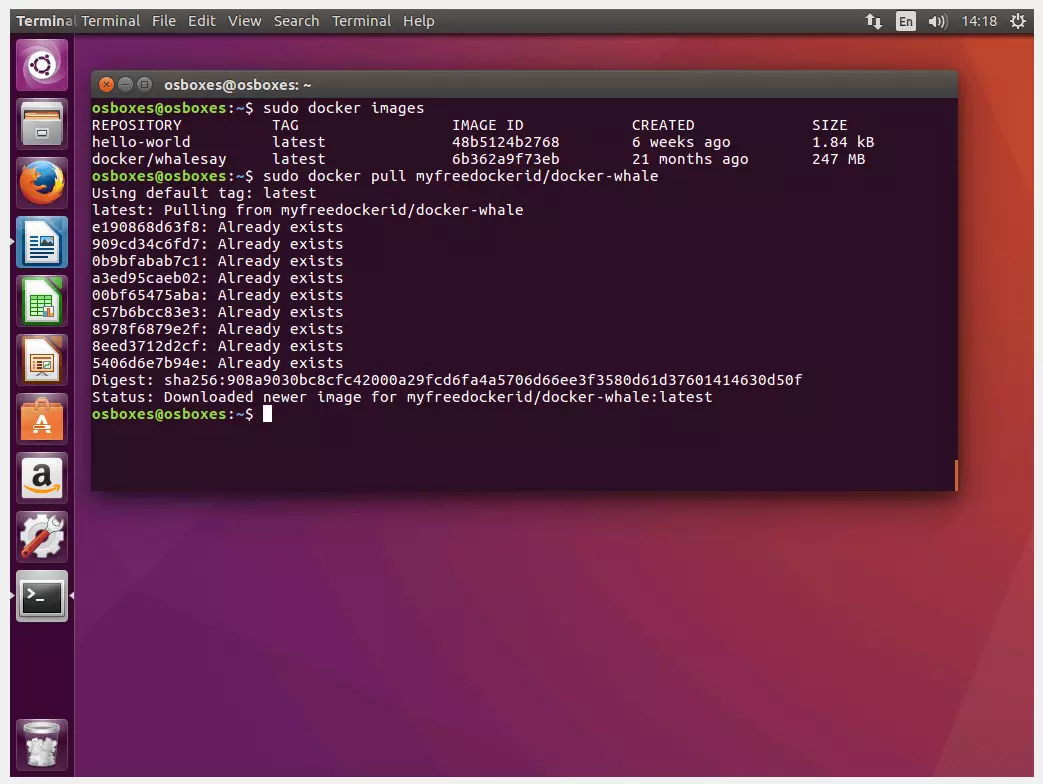 Terminal do Ubuntu: download pelo Docker Hub